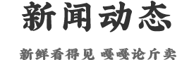 新聞動态